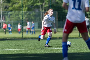 Bild 154 - wCJ Hamburger SV - VfL Pinneberg : Ergebnis: 9:0